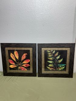 Matching Botanical Wall Art Set ā $15 for Pair (Peoria)