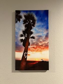Sunset Palm Canvas Picture 22” X 12”