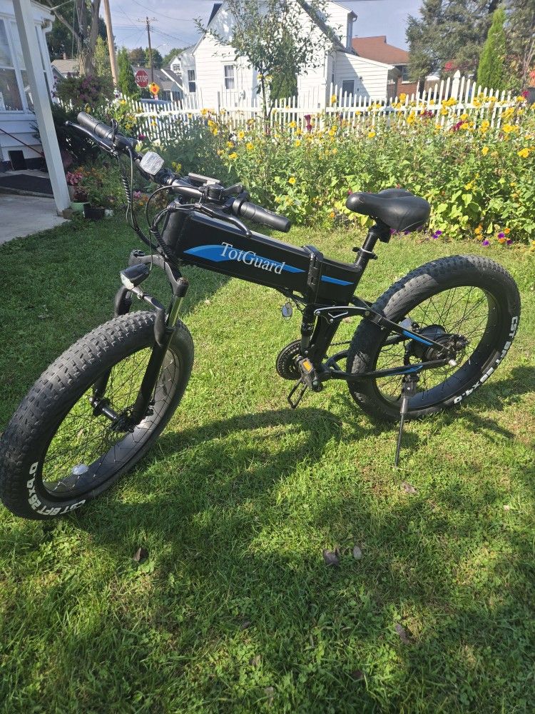 E Bike
