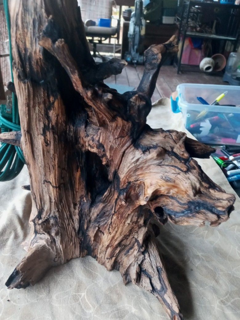 Driftwood Lamp Unique