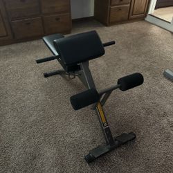 Stamina Ab/Hyper Bench – Core & Back Strength Trainer – $30 (Over $150 New!)