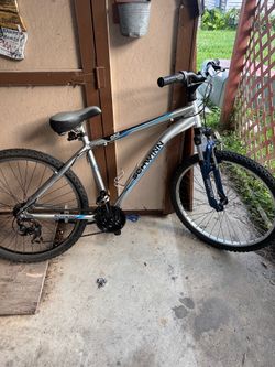 Adult bikes