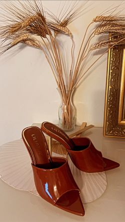Chocolate Color Heels