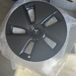 Tesla Hubcap