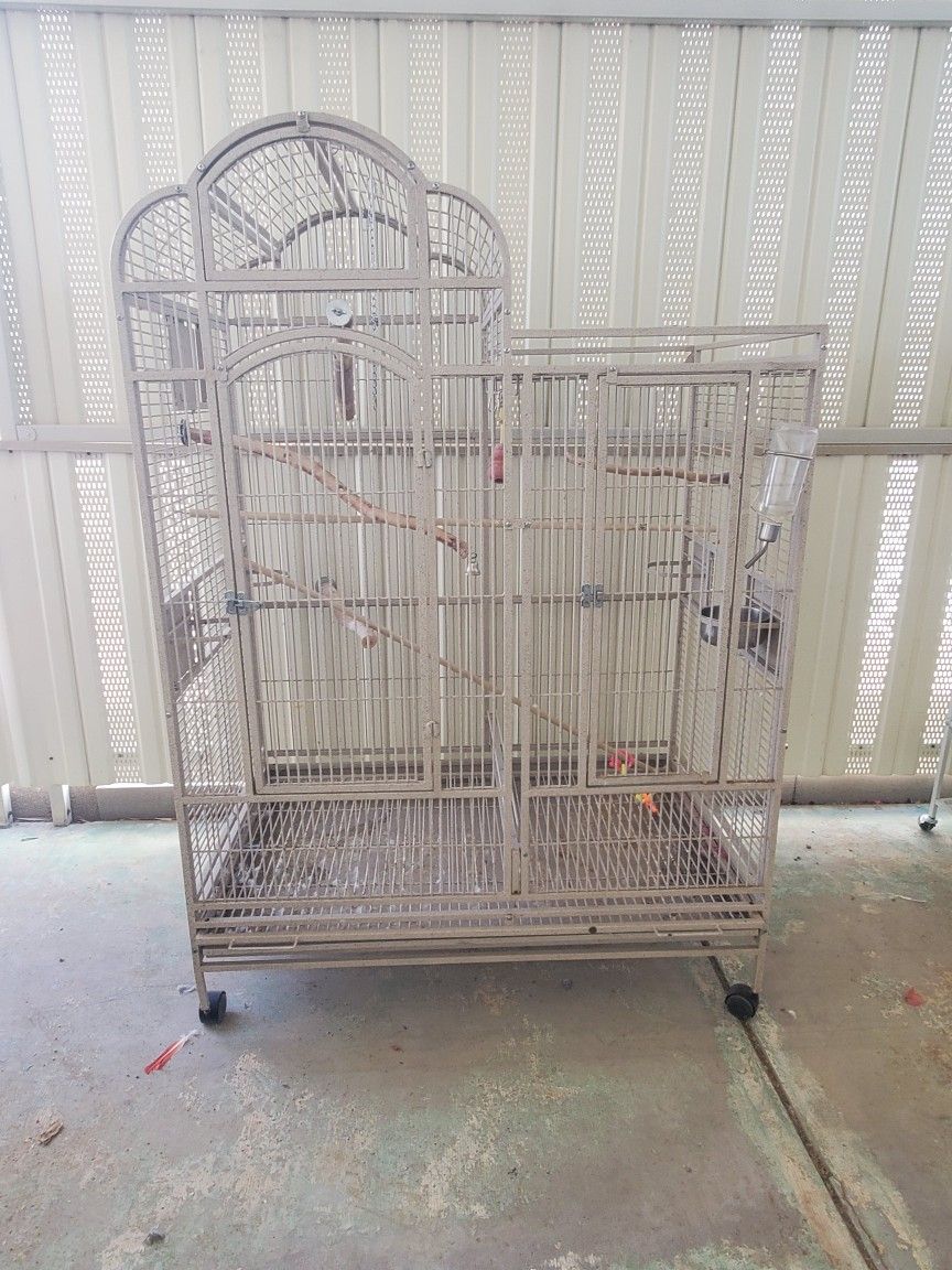 Bird Cage
