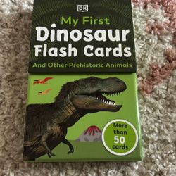 Dino Flash Card Set