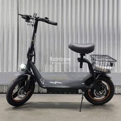 Electric Scooter E-Scooter