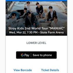 Stray Kids 2nd World Tour Ticket