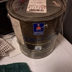 Sherwin Williams  Super Paint Exterior Purple Gallon. 