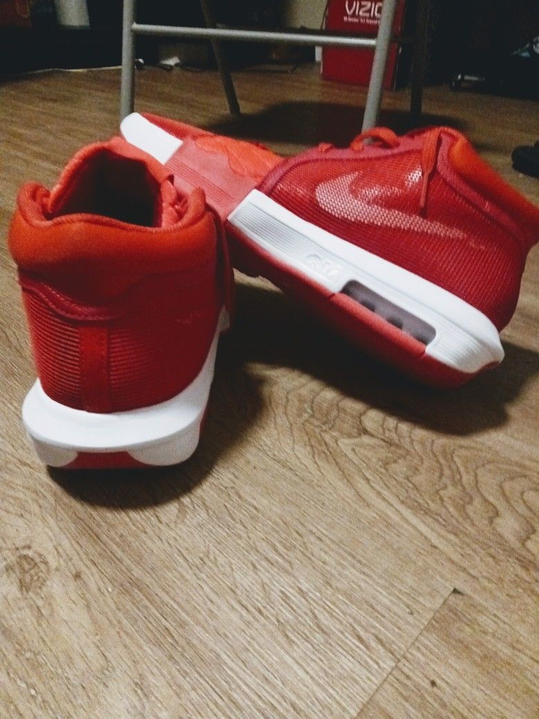 LeBron Witness 8