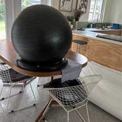 Exercise Ball & Stabilizer Ring 