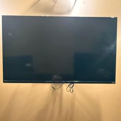 TV Vizio 55in 