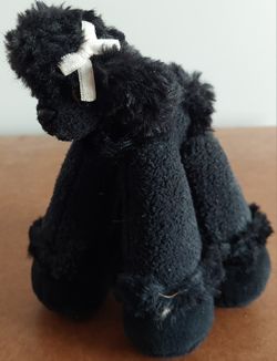 Black Bestever Poodle