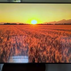 Sceptre 65 Inch 4K UHD LED TV Ultra Thin - Crack On Screen