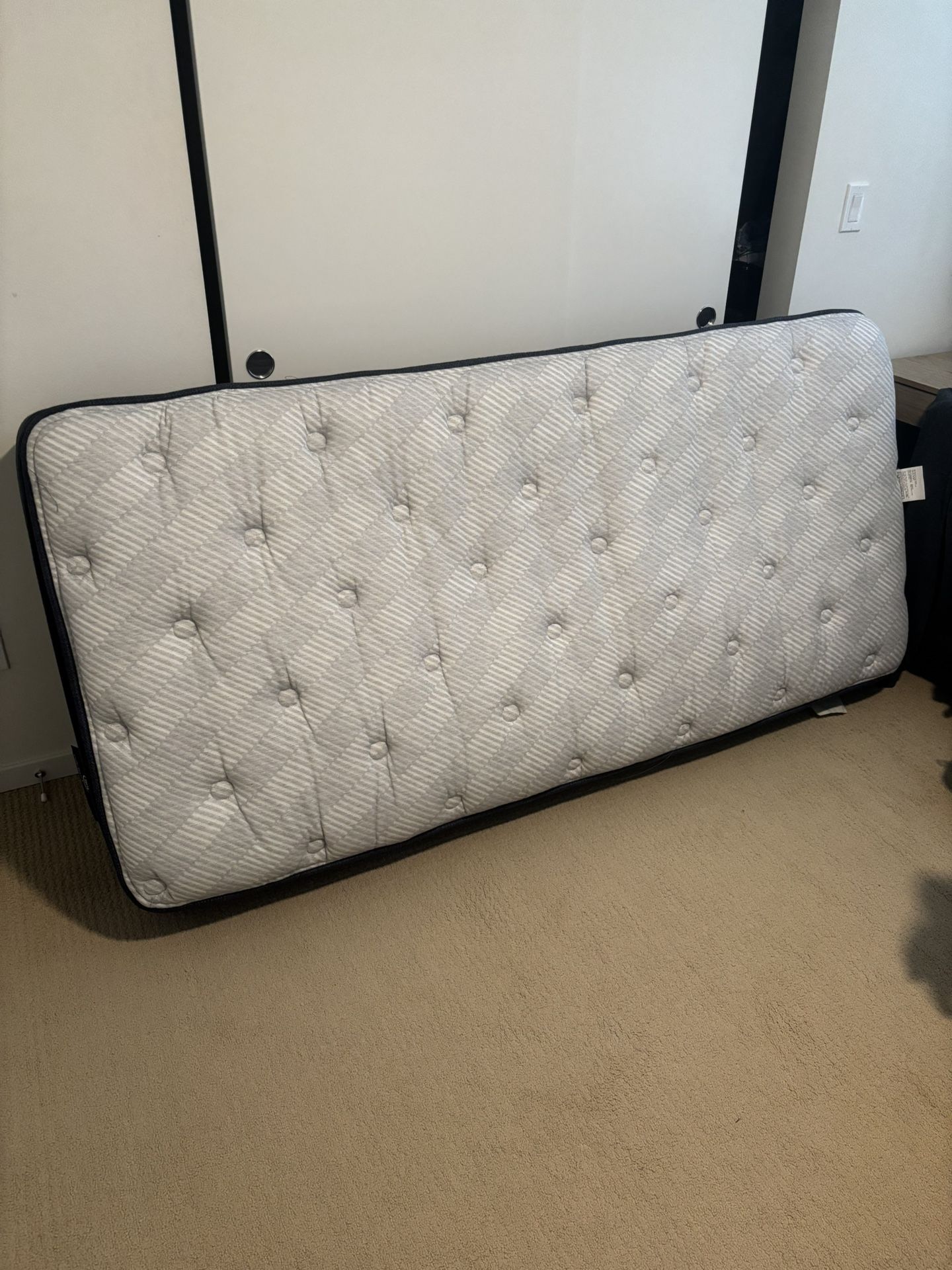 FREE Twin Size Bed Mattress