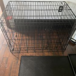 Large Collapsible Cage