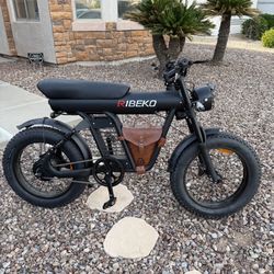 20in Electric Bike 1200W Motor for Adults 48V Off-road Mountain Ebike