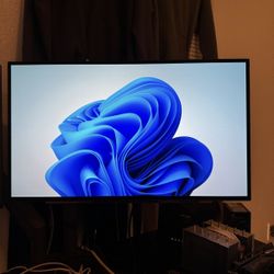 OLED LG MONITOR 