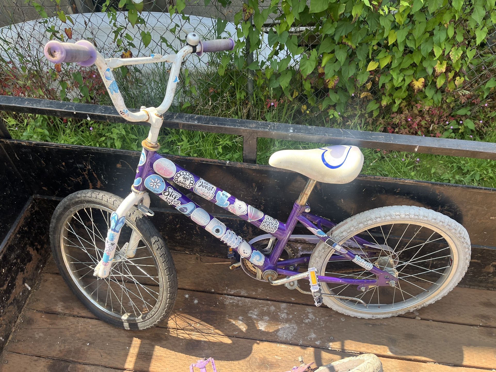 Girls’ 18” Bike – $5