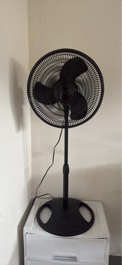 Black Adjustable Pedestal Fan