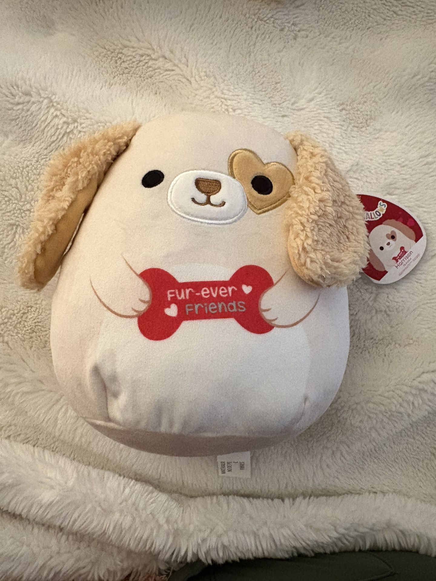 Squishmallow - Harrison dog