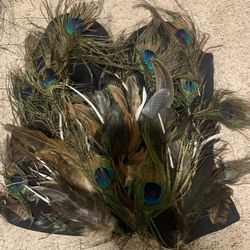 Hand Made peacock corset costume