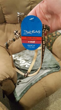 XS dog harness