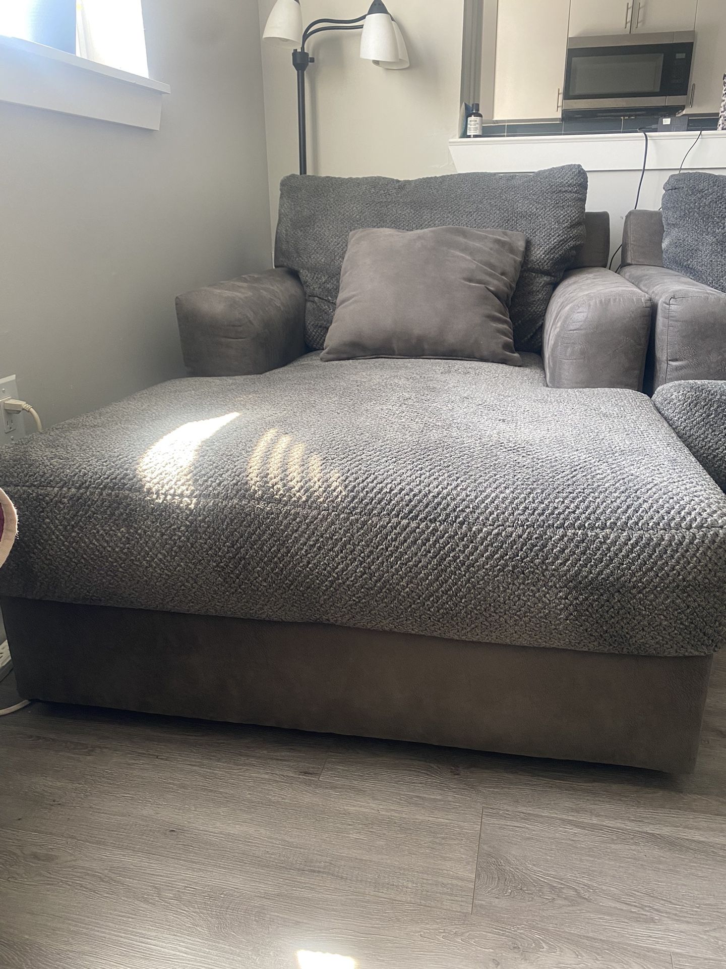 Gray couch And Chase