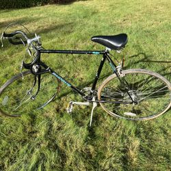 Shogun  26”  Bicycle