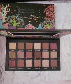 New Eyeshadow Palette Great Picmentation 