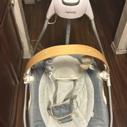 Ingenuity Baby Swing 