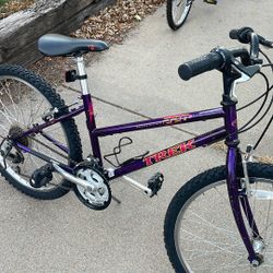 24in Trek 220 mountain track