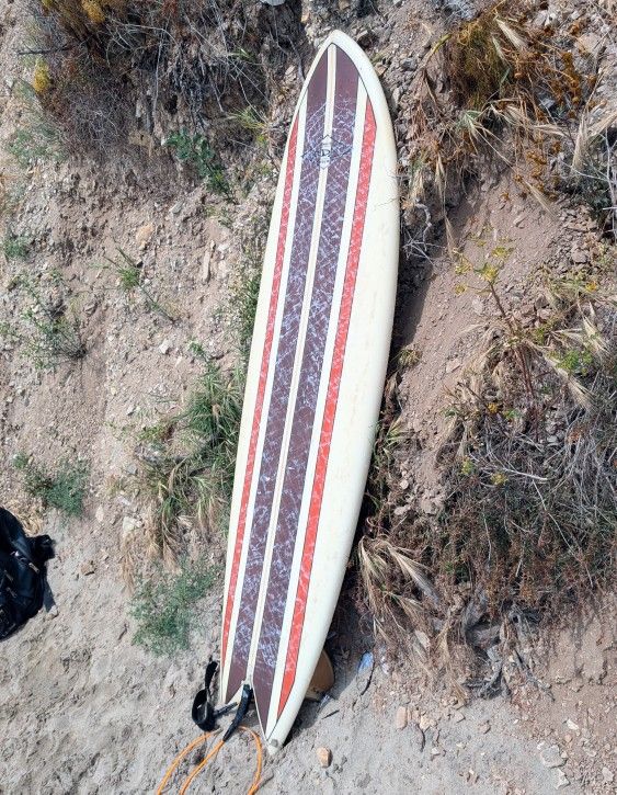 6'2 Fish Surfboard Twin Fin
