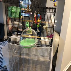 Bird Cage And All Accessories 