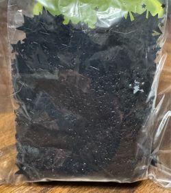 Black Star Confetti