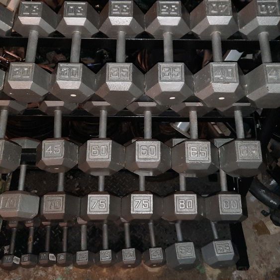 Dumbbells Set With Rack 8s-80s