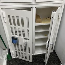 AMSEC  Pharmacy Safe