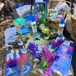 Fish Tank With Everything You Need To Have Fish