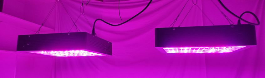 MARS Ii 900 Watt LED Indoor Hydroponic Grow Lights