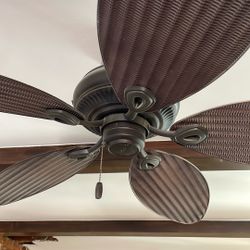 Ceiling Fan