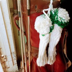 Golf Clubs Includes Shoes 