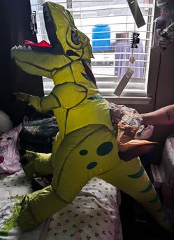 Unicorn 🦄  and dinosaur costume  Inflatable .