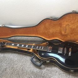 Jay Turser JT-220 Guitar For Sale 