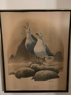 1970s vintage California seagull art print signed