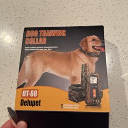 Dog Training Shocker/ Vibrater 