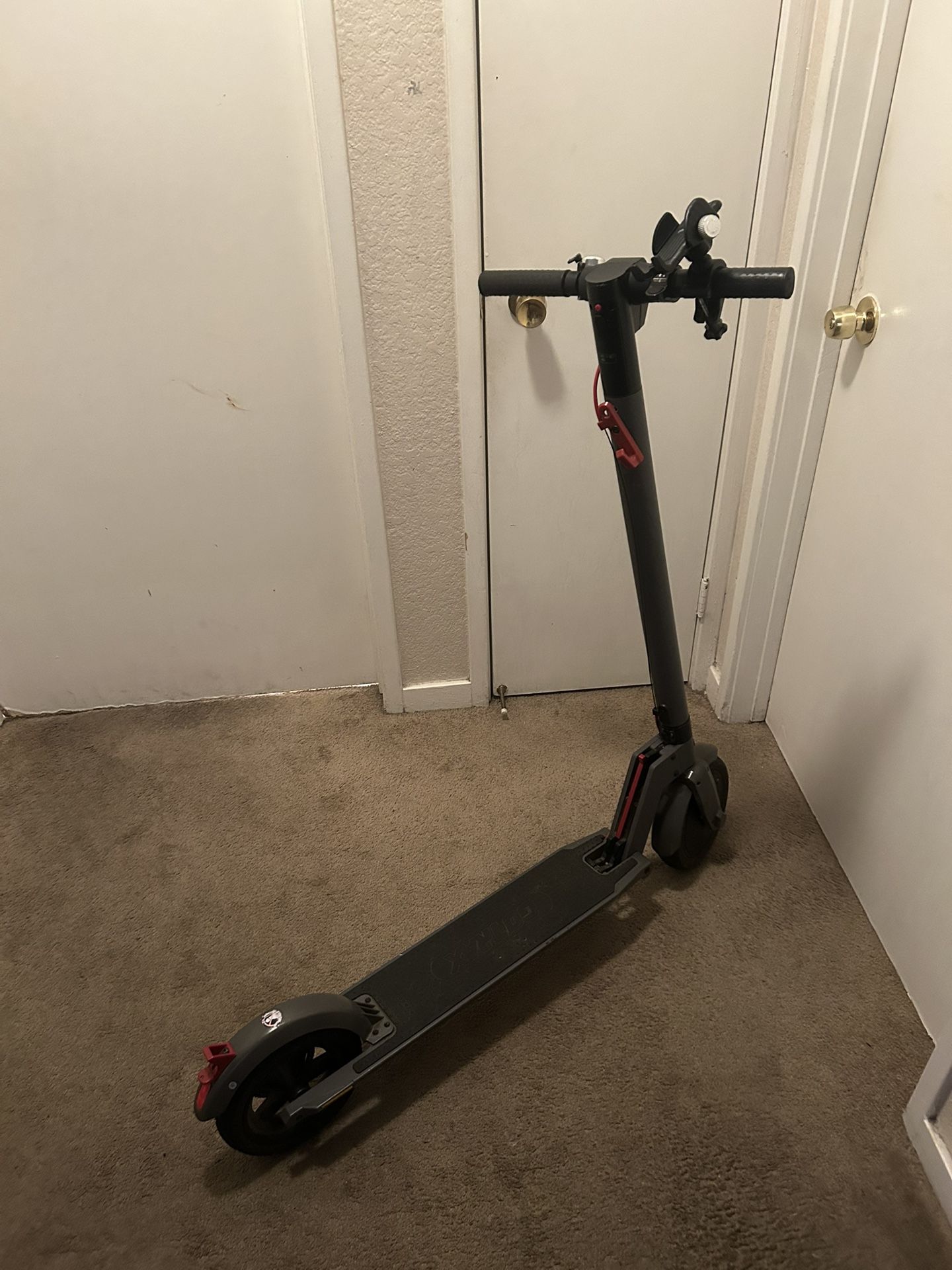 Gotrax Electric Scooter