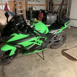 Ninja 300