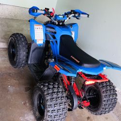 Cuatromoto Denago 2026