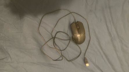A mouse