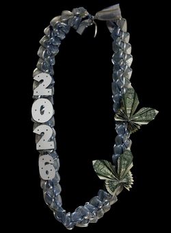 Graduation leis